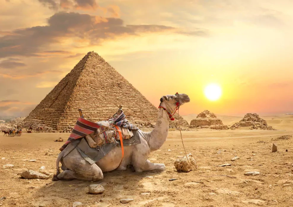 6 Days Cairo, Aswan, Luxor Tour for Seniors