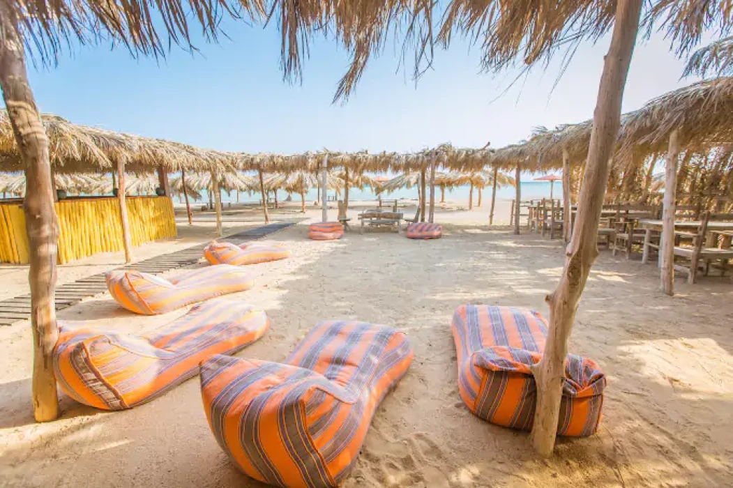 Excursion sur l'île d'Orange Bay au départ d'El Gouna