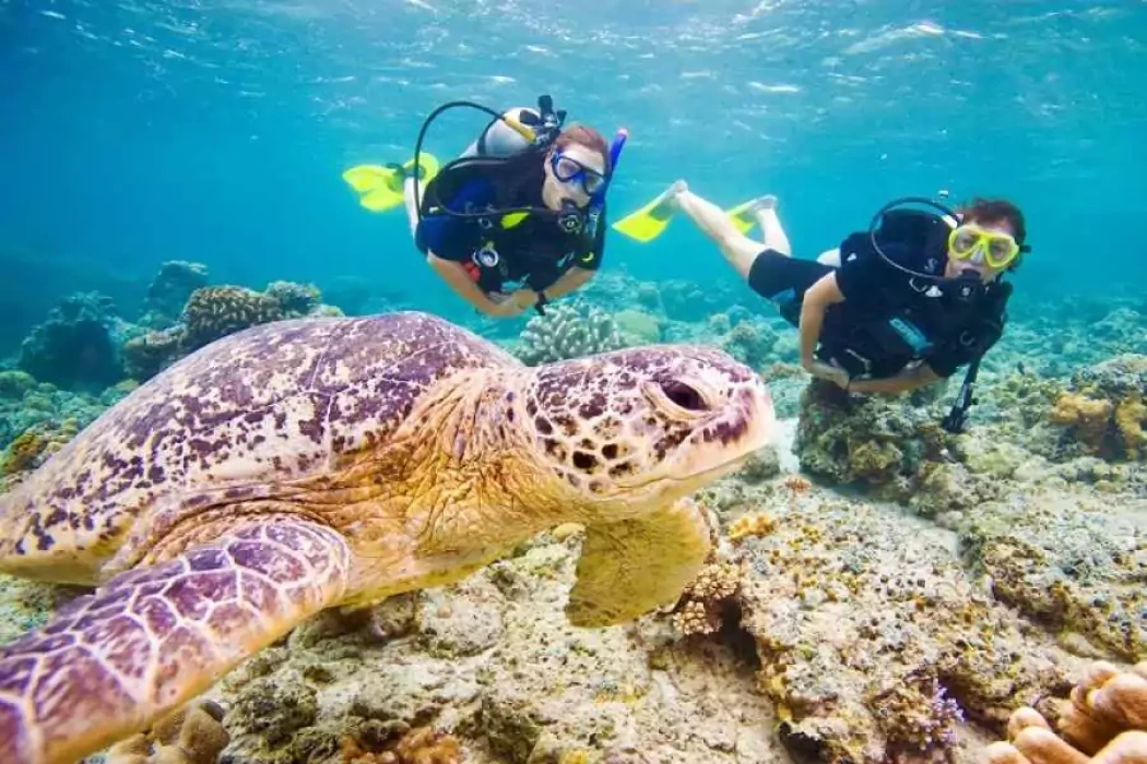 Excursion de plongée sous-marine à El Gouna