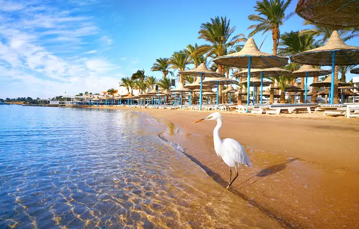Red Sea Beaches