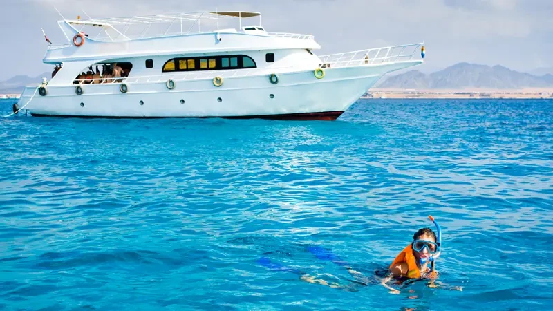 Snorkelling in Tiran Island Snorkelling in Tiran Island