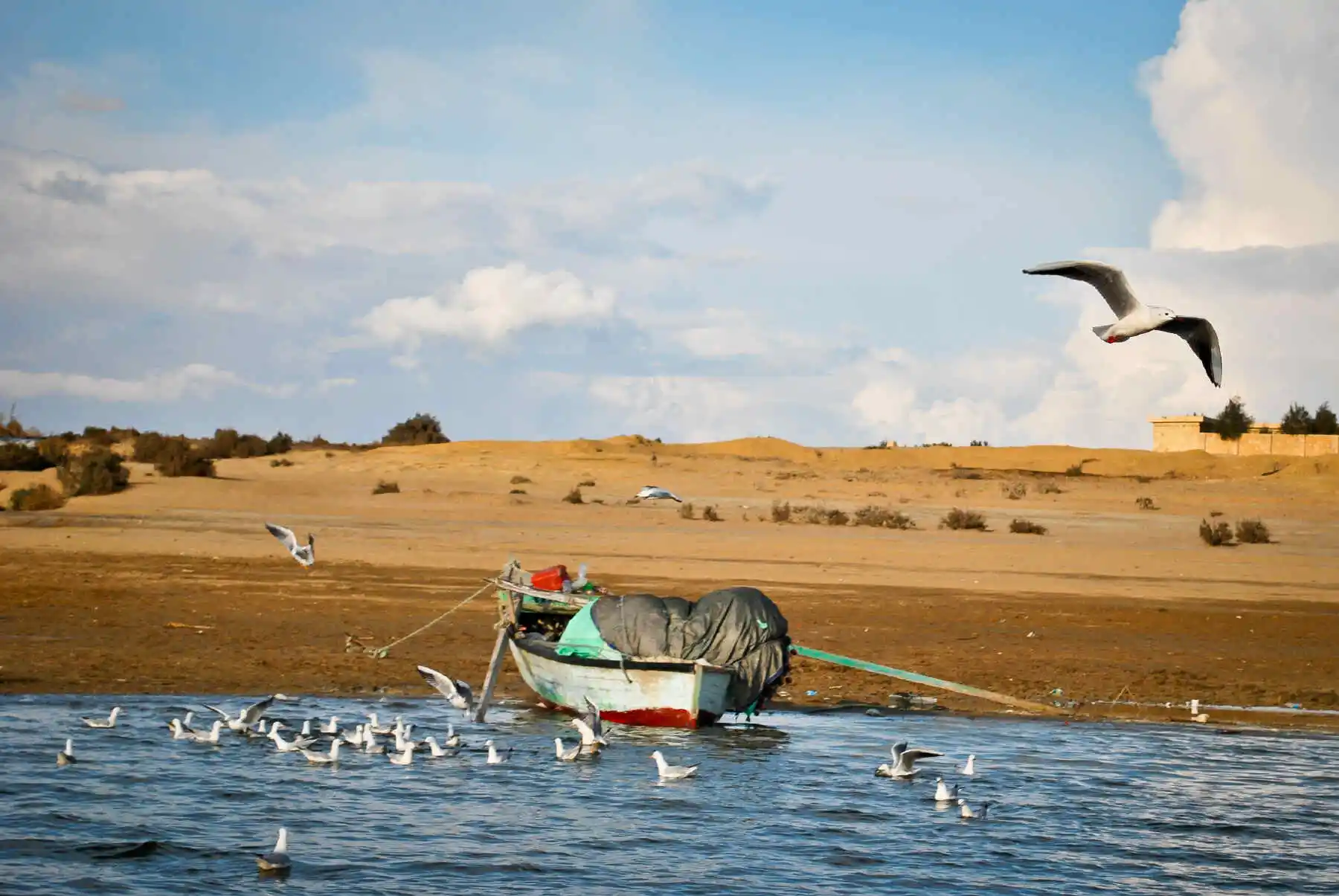 Oued El Rayan