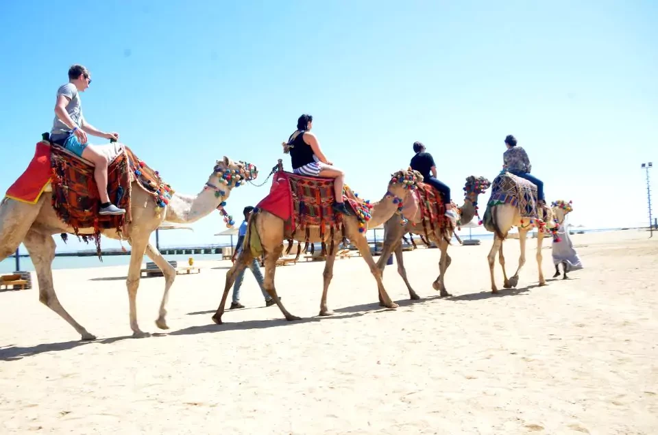 Excursion matinale en quad au départ d'Hurghada