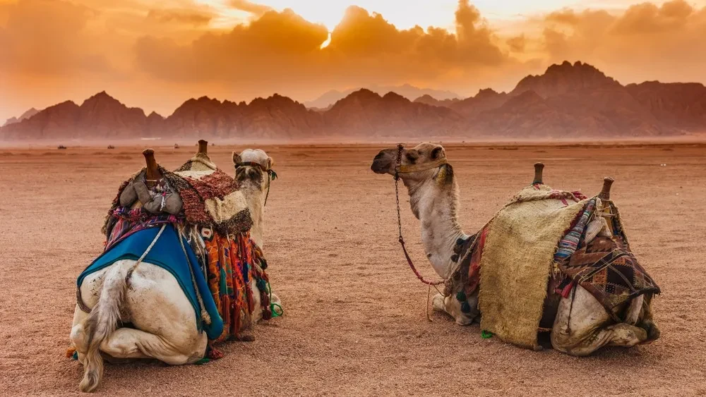 Excursión Super Safari en Hurghada