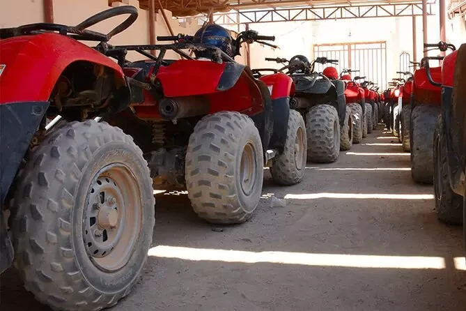 Makadi Bay Morning Quad Tour with Camel Ride