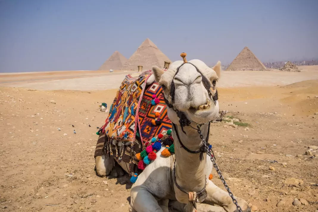 Pyramids Small Group Trip From Hurghada