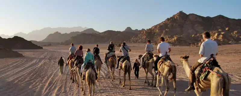 Excursion matinale en quad à El Gouna avec balade à dos de chameau