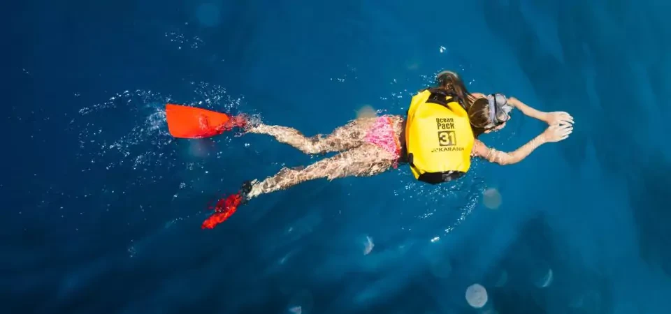 Excursion d'une journée en snorkeling à El Gouna