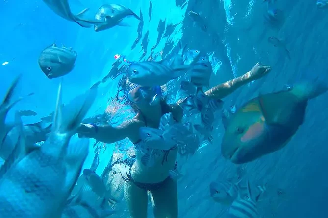 Excursion d'une journée en snorkeling à El Gouna