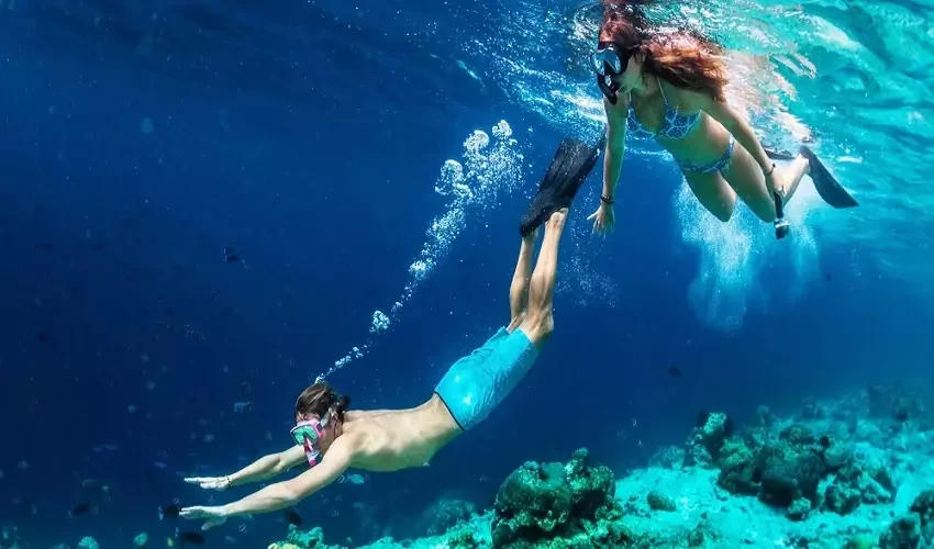Excursion d'une journée en snorkeling à El Gouna