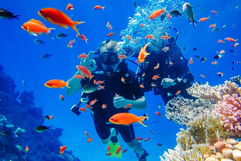 Meilleurs spots de plongée à Hurghada