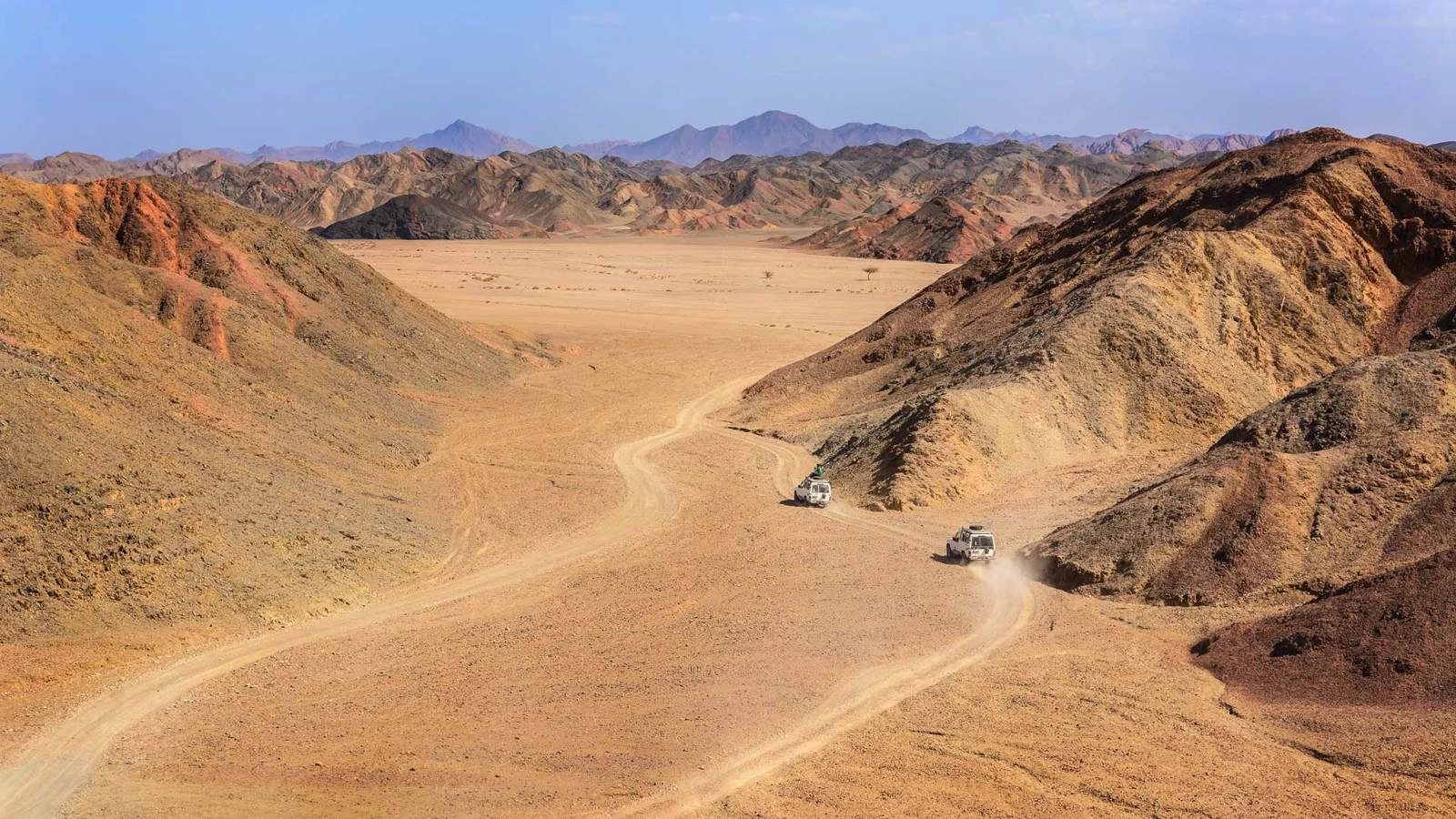 Desert Safari
