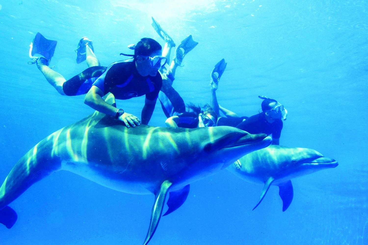 Diving