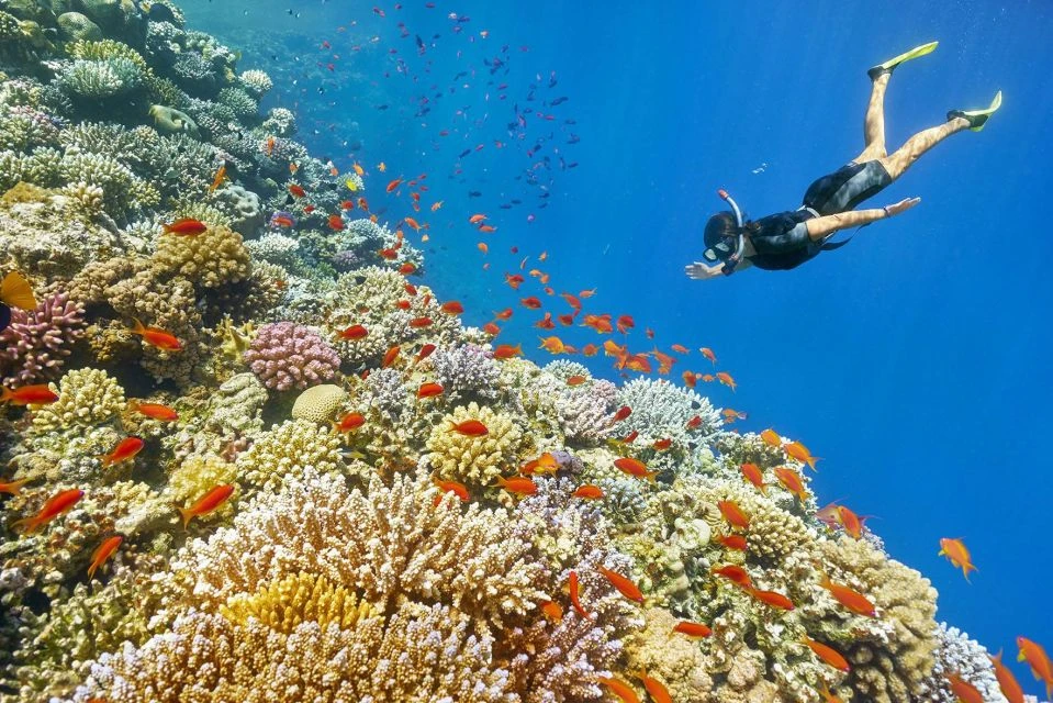 Snorkeling