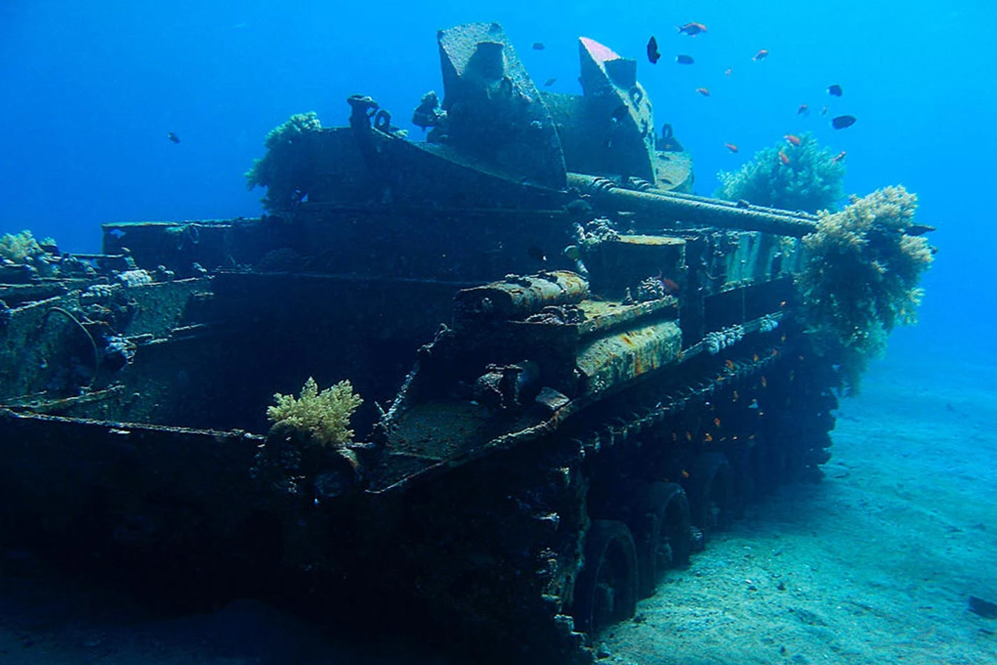 6 Days Diving in Thistlegorm, Ras Mohamed, Brothers Marine Park