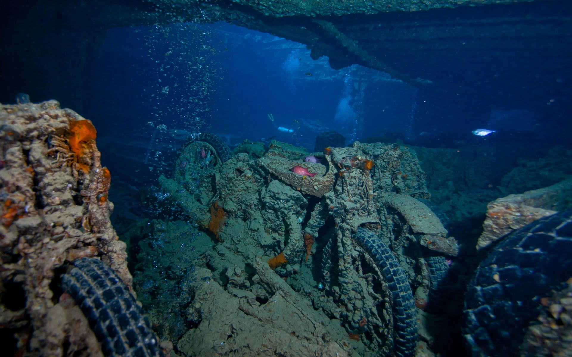 6 Days Diving in Thistlegorm, Ras Mohamed, Brothers Marine Park