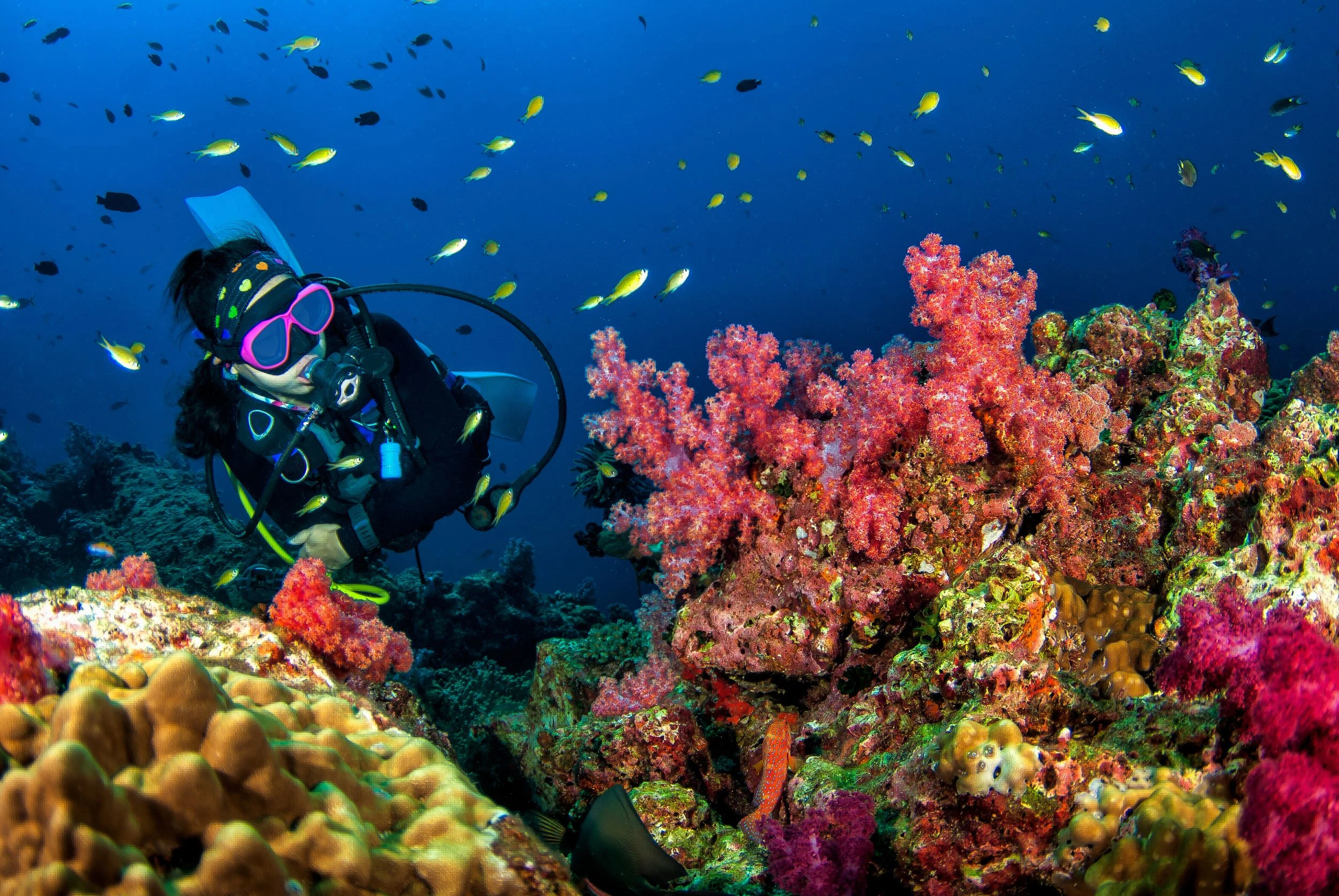 6 Days Diving in Thistlegorm, Ras Mohamed, Brothers Marine Park