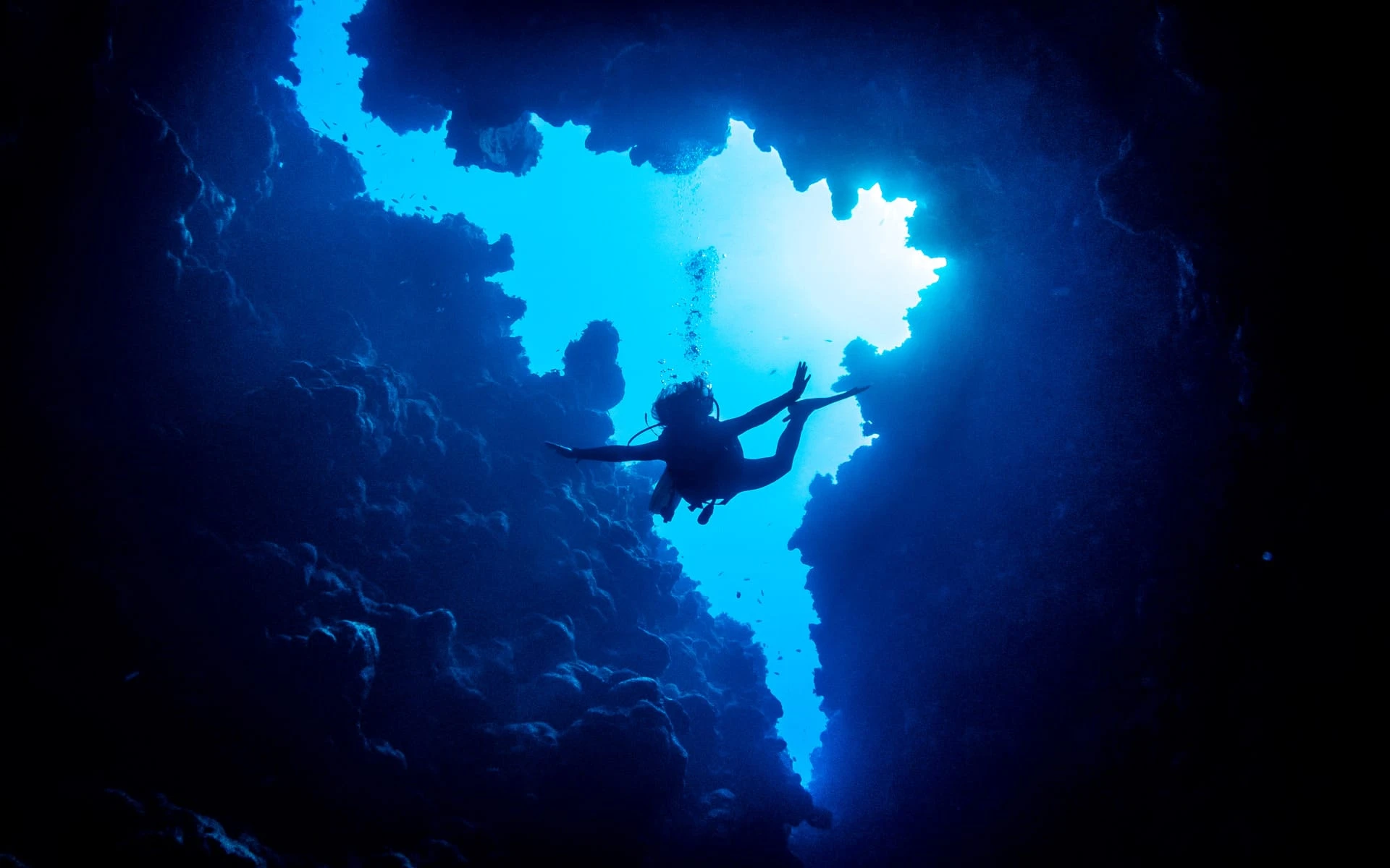 8 Days Diving in Strait of Tiran / Dahab
