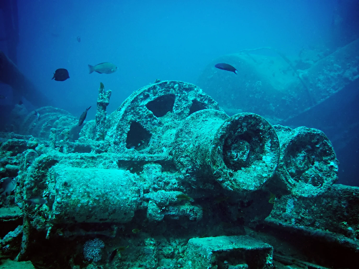 8 Days Diving in Strait of Tiran / Dahab