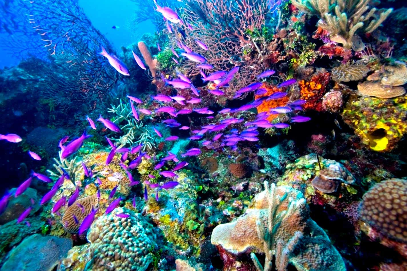 Strait of Tiran