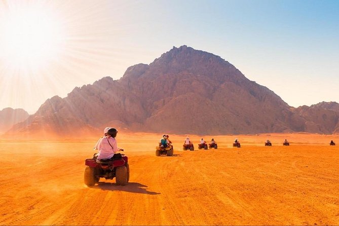 Aventure de safari dans le désert au pays des majestueuses muses de sable : Égypte