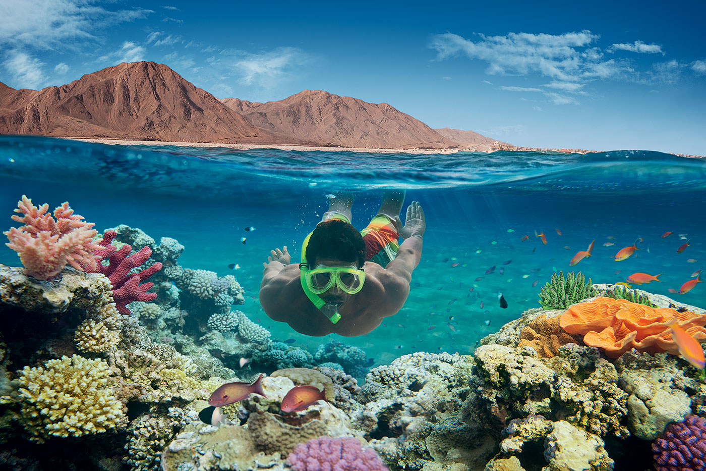 Plongée à Sharm El Sheikh