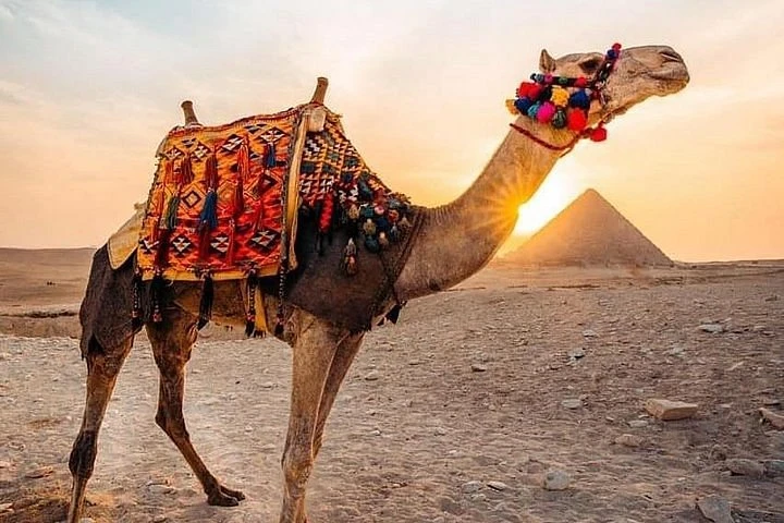 "A 6-Day Adventure: Vacation in Cairo and Nile Cruise