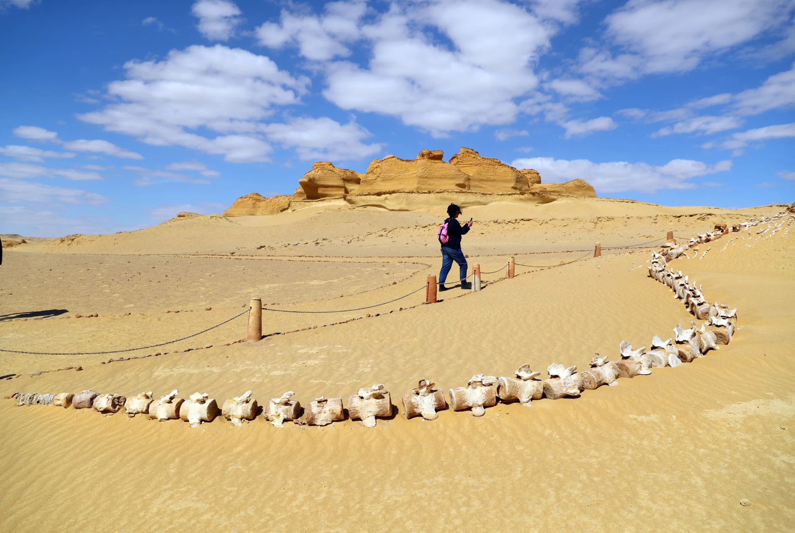 9 jours de visite au Caire, à Fayoum et croisière sur le Nil