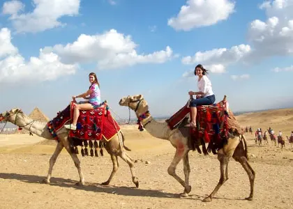 best tours from cairo