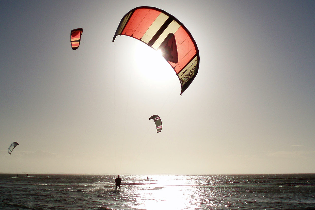 Red Sea Kite Safari
