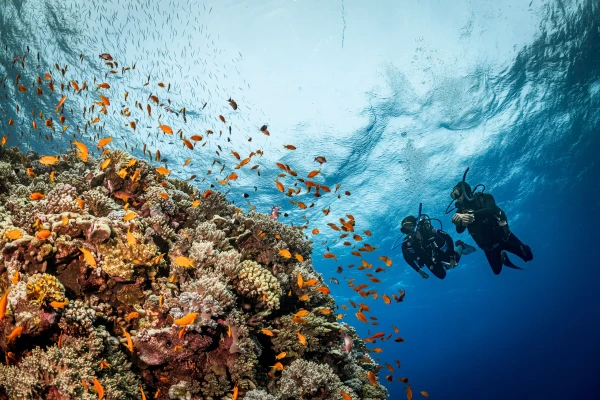 Safari de buceo en el Mar Rojo