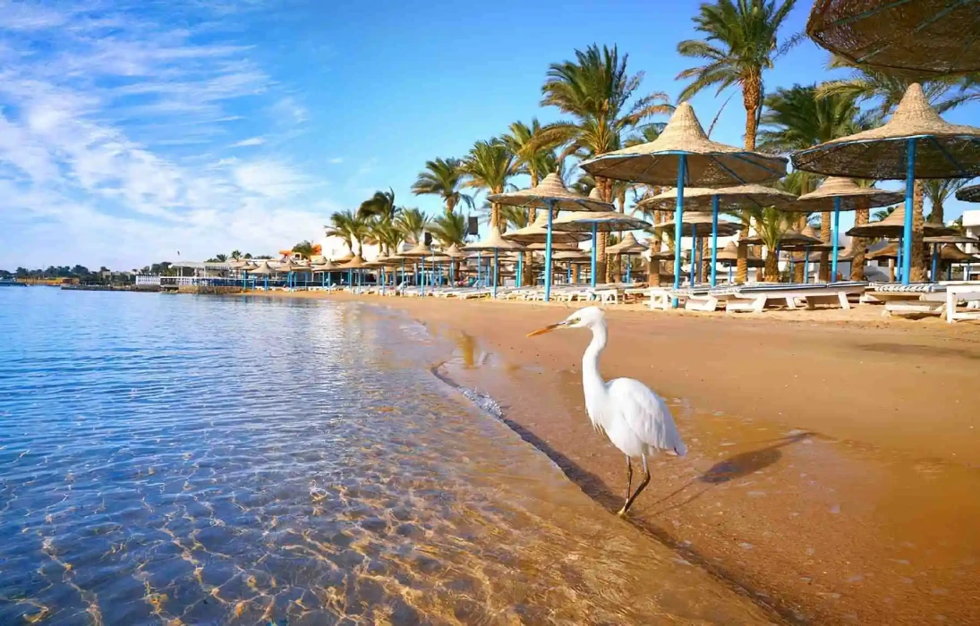 2 jours dans le désert blanc depuis Hurghada en avion