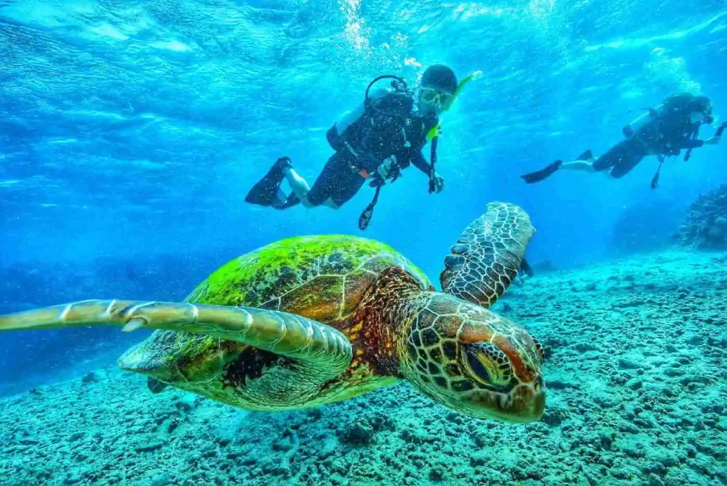 Sharm El Sheikh