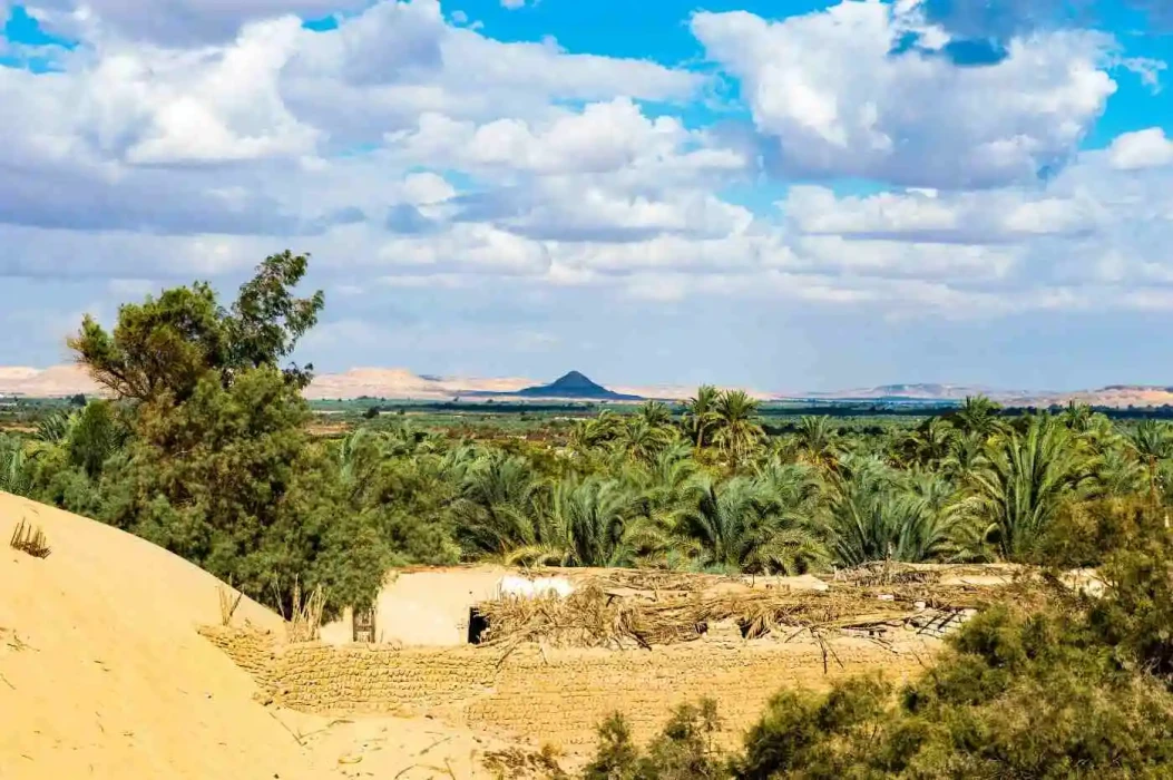 Tour familiar de 6 días por El Cairo y el desierto blanco