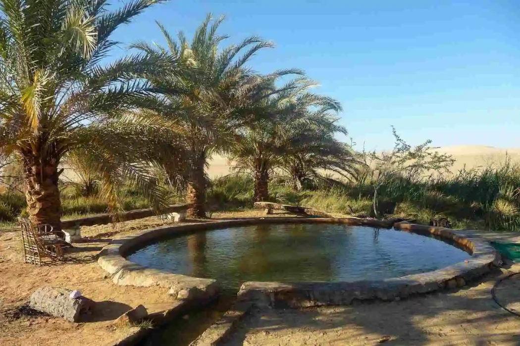 Tour familiar de 6 días por El Cairo y el desierto blanco
